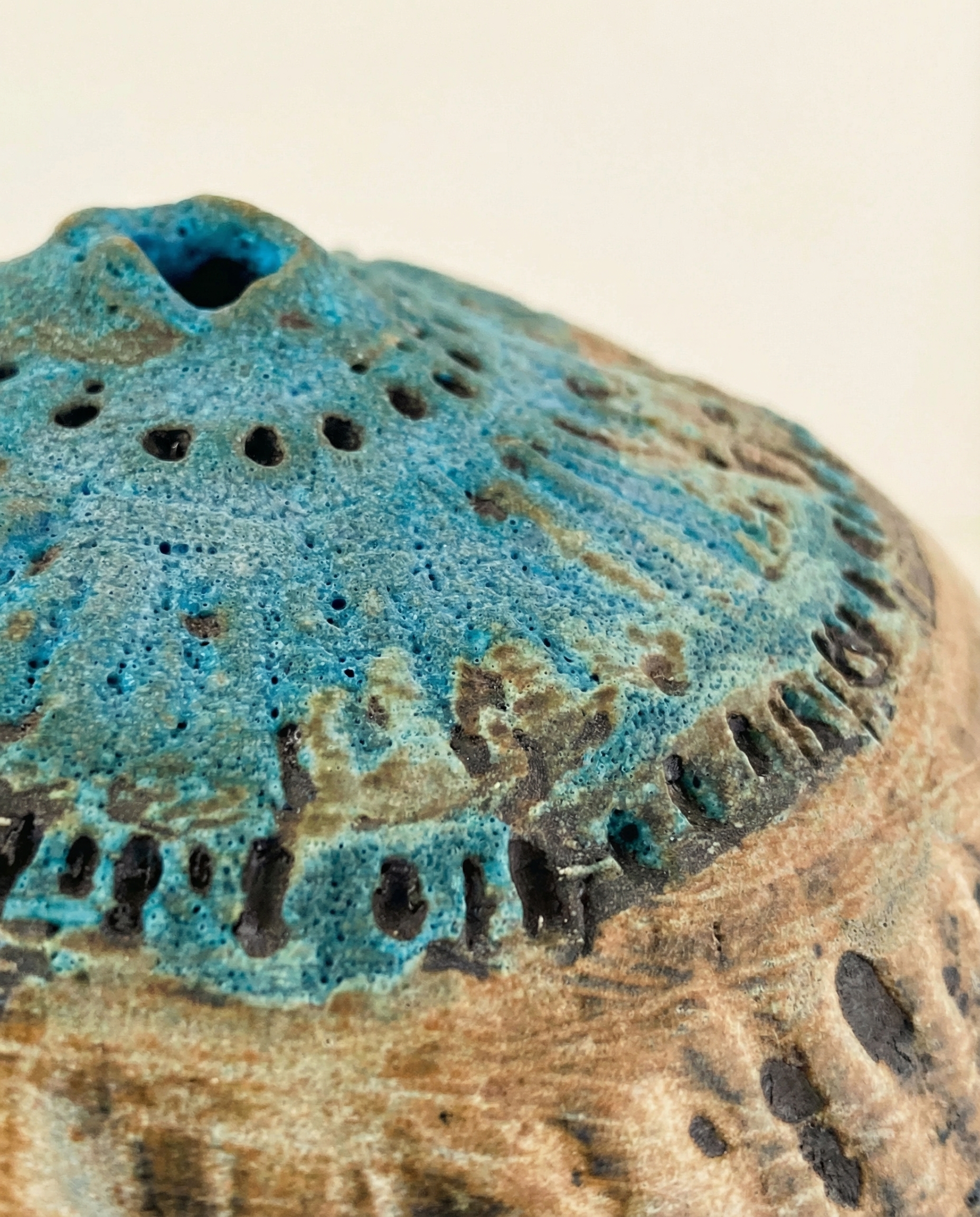 Teal Crown — crown close-up
